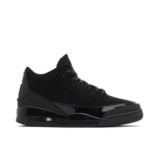 Nike Air Jordan 3 Black Cat - Air Jordan 3 sneaker side profile view on white background