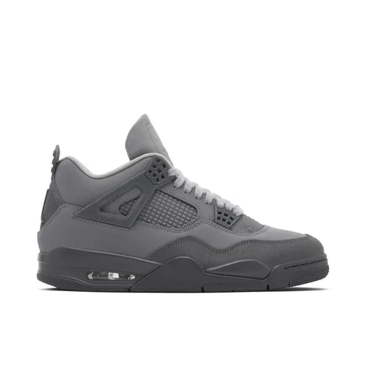 Nike Air Jordan 4 Wet Cement Paris Olympics - Air Jordan 4 sneaker side profile view on white background